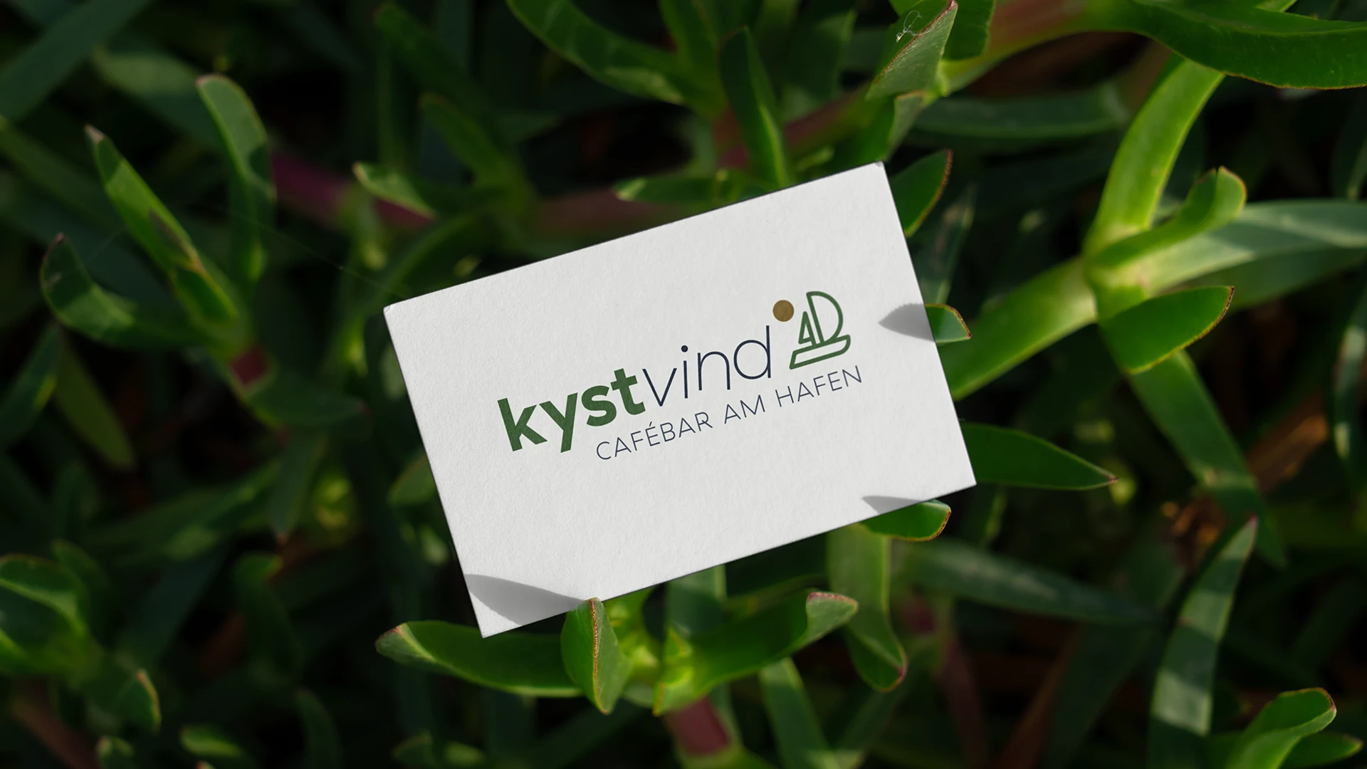 Logo & Branding Beispiel